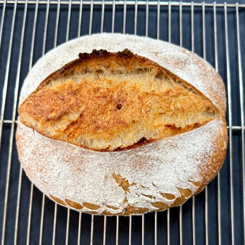 A round sourdough loaf with a deep golden ear, cooling on a wire rack
